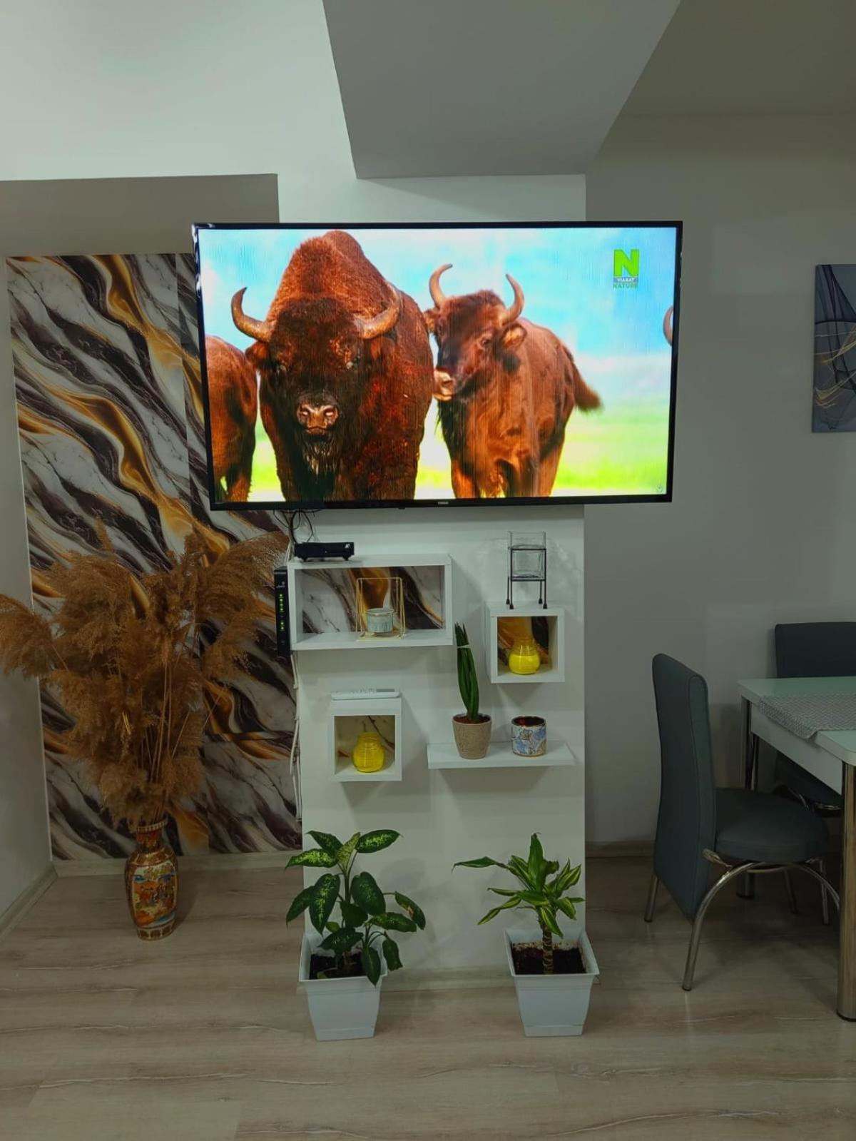 Maksim Apartments סקופיה מראה חיצוני תמונה